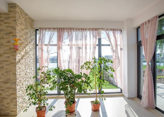 Vis 3* 데포리노드