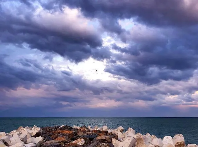 호텔 Vis 데포리노드