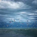 Vis Эфорие Норд